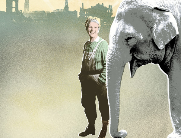 Review: An Elephant in the Garden at Bristol Old Vic Studio