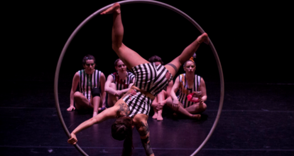 Ellie Dubois: “Circus is a device in the toolkit I use to make a show”